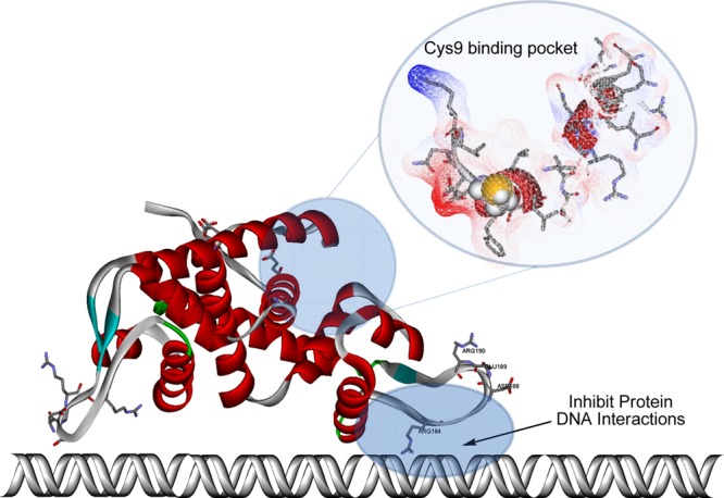 Figure 13