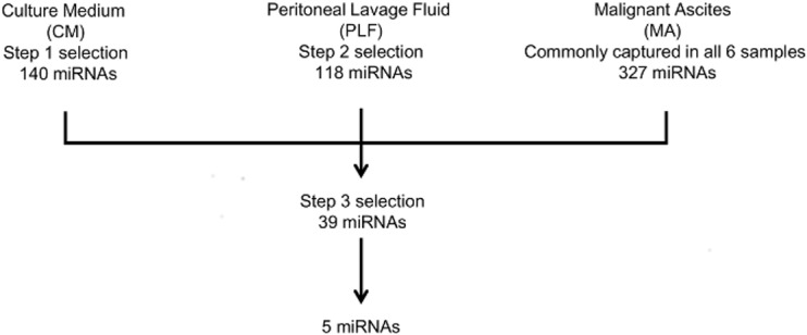 Fig 5