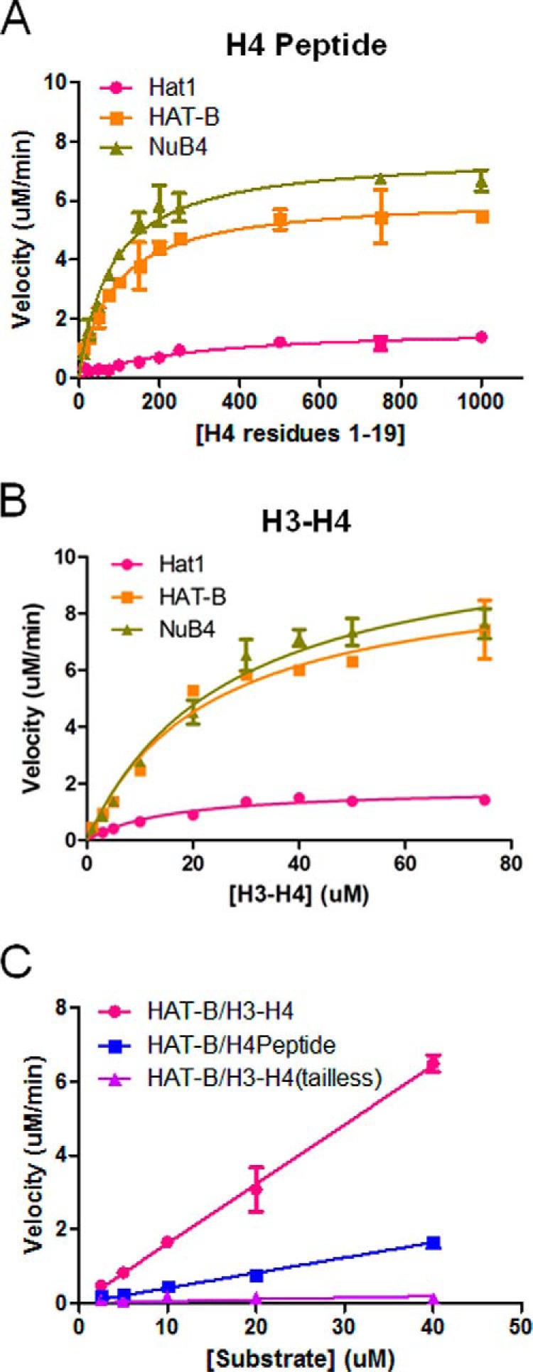 FIGURE 4.