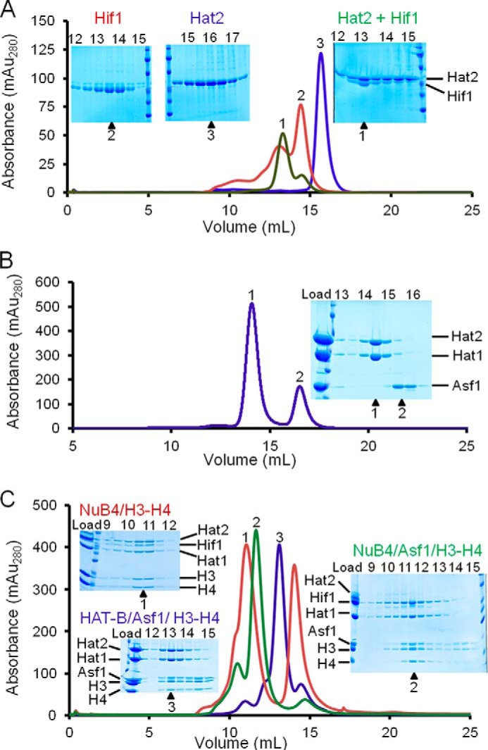 FIGURE 1.