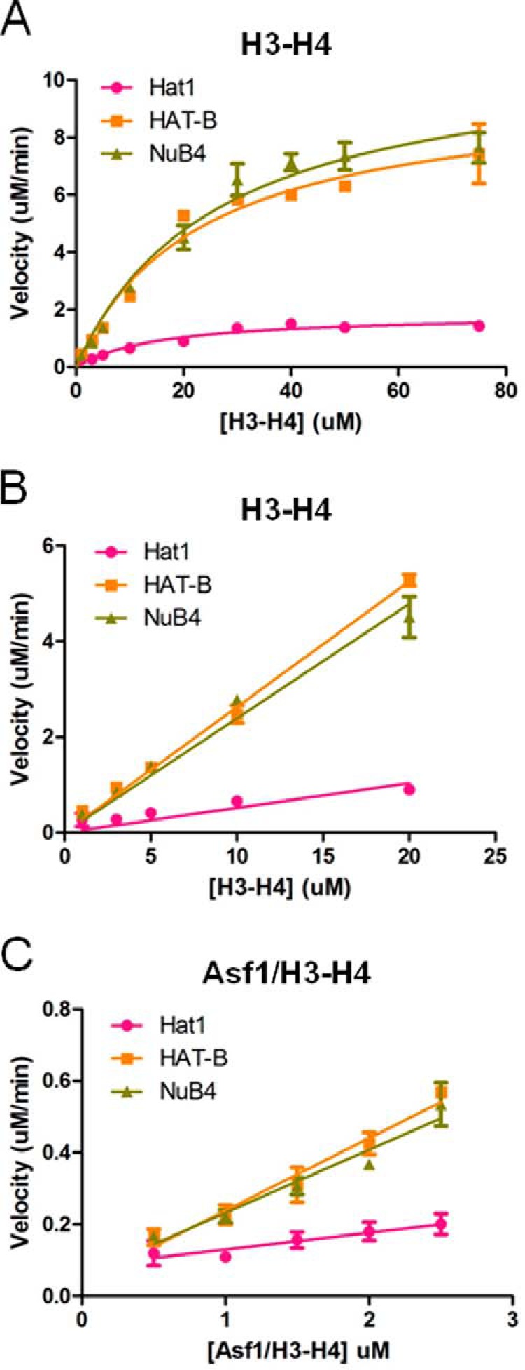 FIGURE 3.