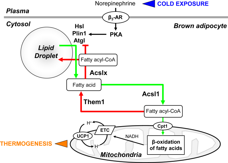 Figure 6