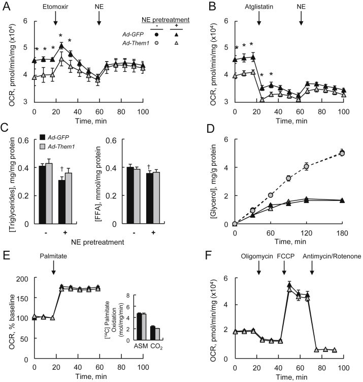 Figure 5