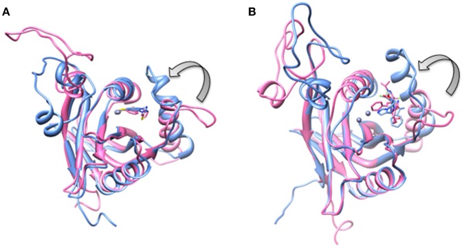 Figure 9