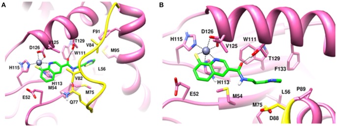 Figure 6