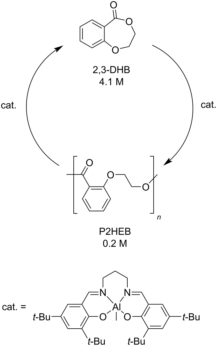 Scheme 17