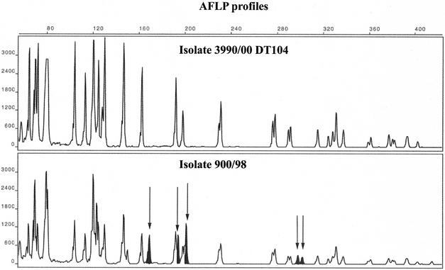 FIG. 7.