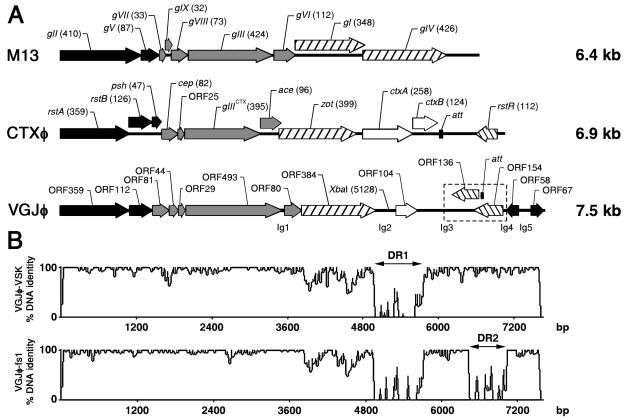 FIG. 1.