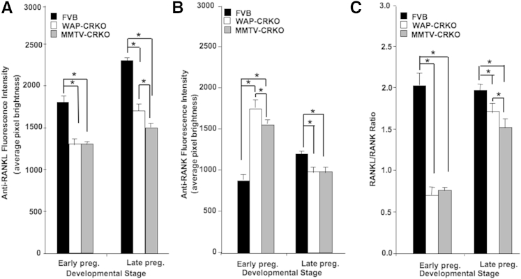 Figure 10