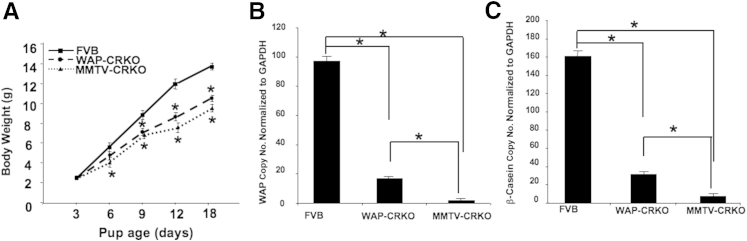 Figure 6