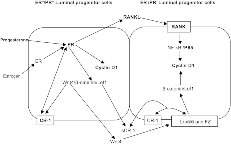 Figure 12