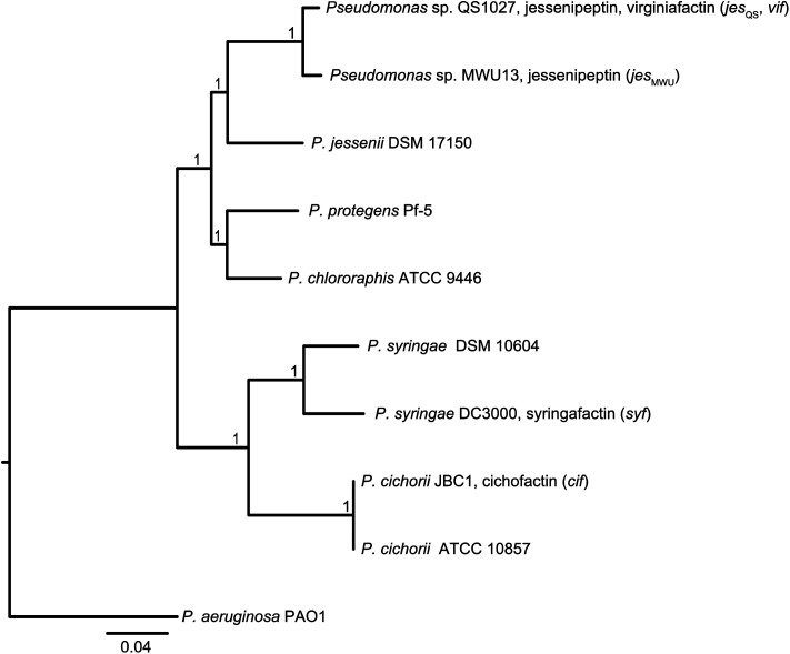 Fig. 6