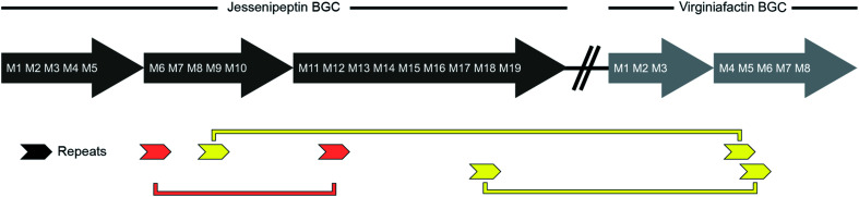 Fig. 8