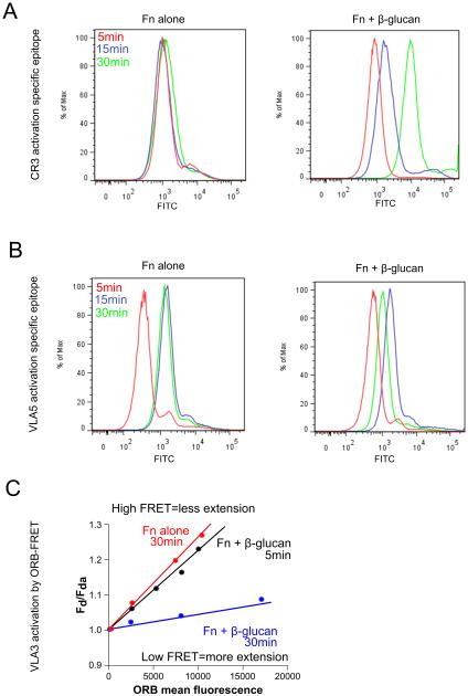 Fig. 11