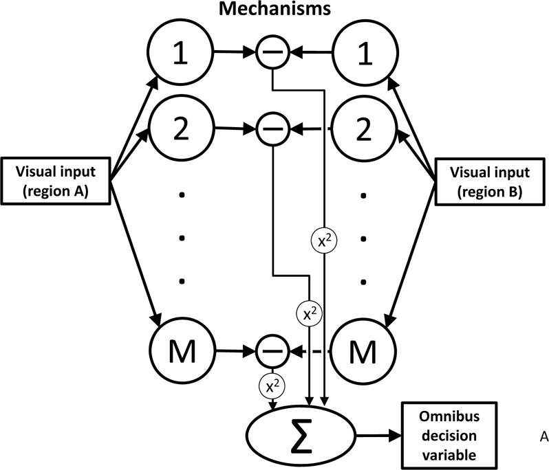 Textures as Probes of Visual Processing - PMC