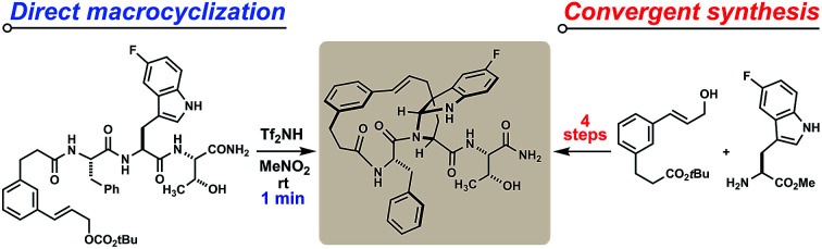 graphic file with name c5sc04612b-ga.jpg