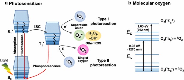 Fig. 2