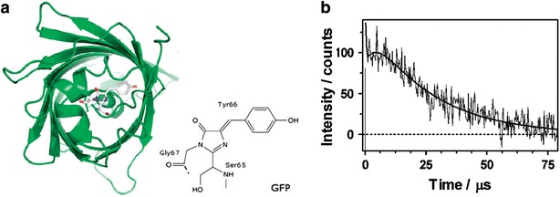 Fig. 3