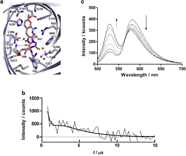 Fig. 8