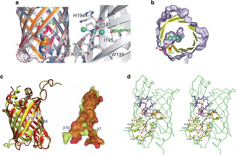 Fig. 10