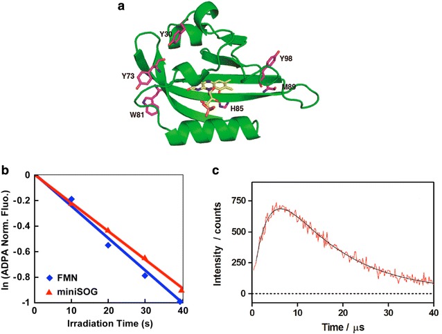 Fig. 4