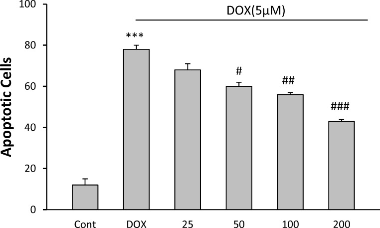 Figure 2b