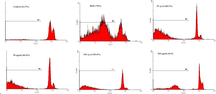 Figure 2a