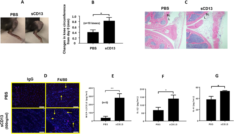 Fig. 6)