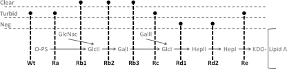 Fig. 5.