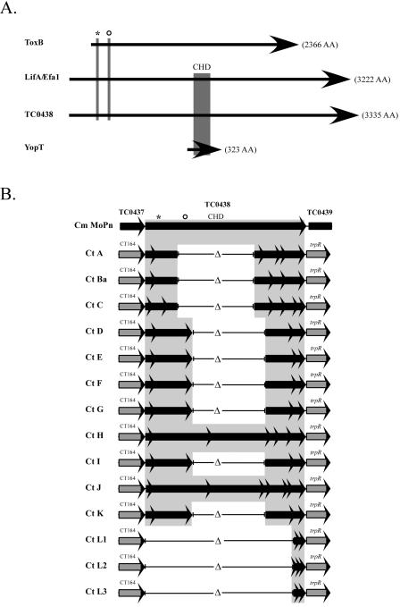 FIG. 3.