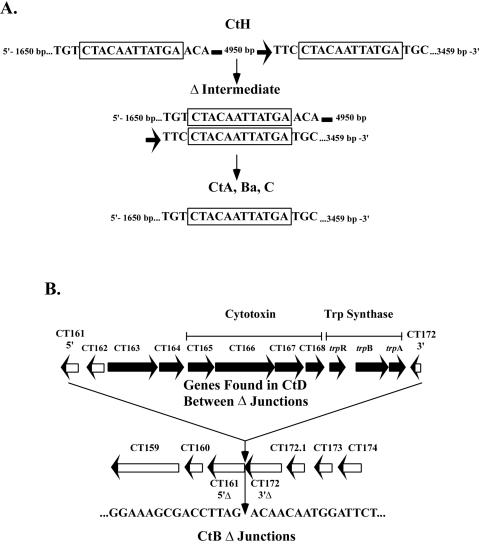 FIG. 4.