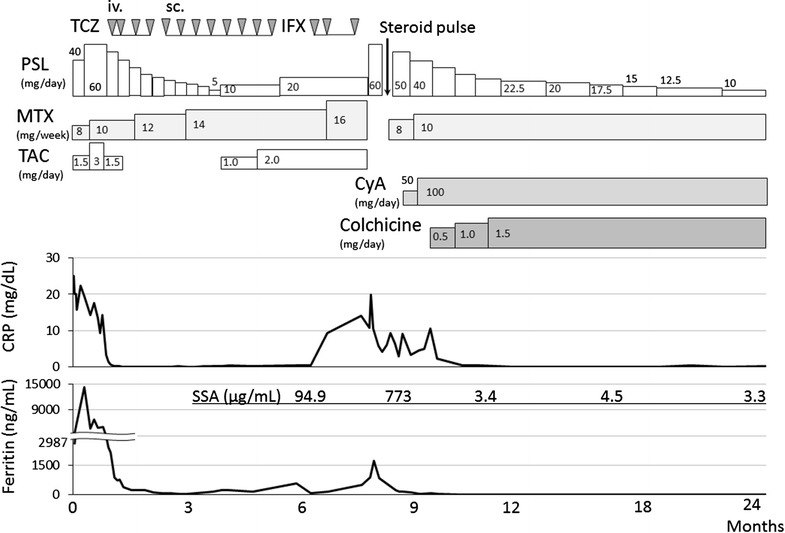 Fig. 1