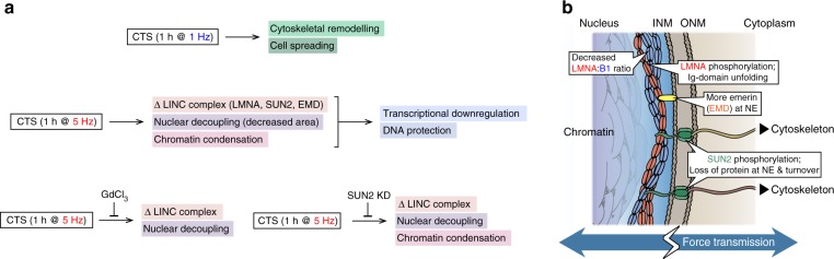 Fig. 10