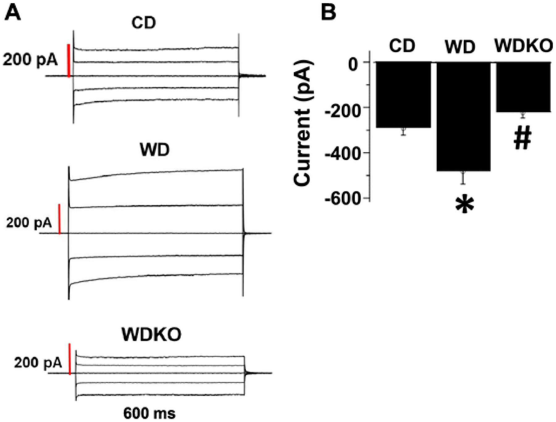 Fig. 5.