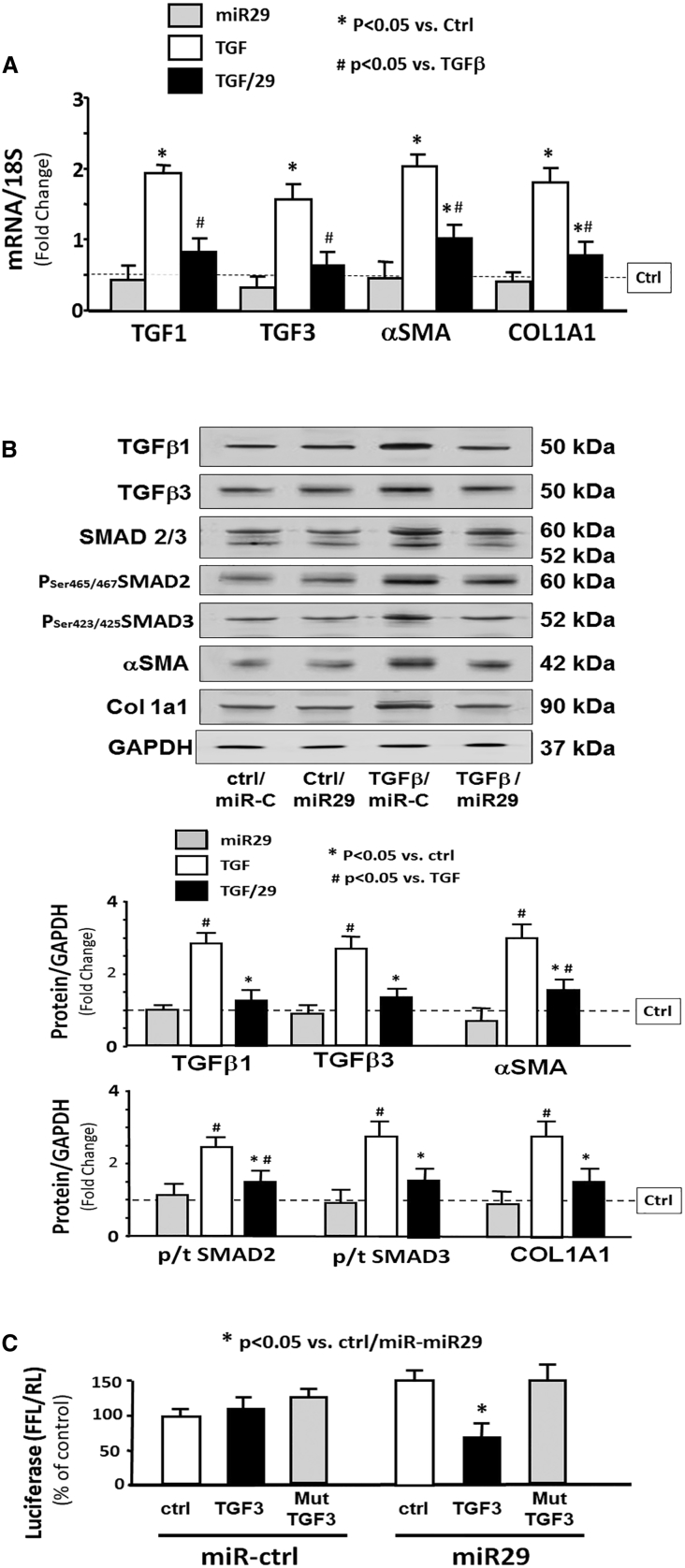 Figure 6