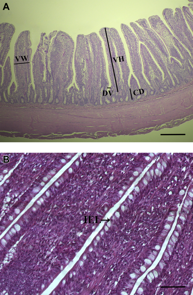 Figure 1