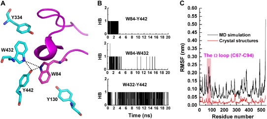 FIGURE 6