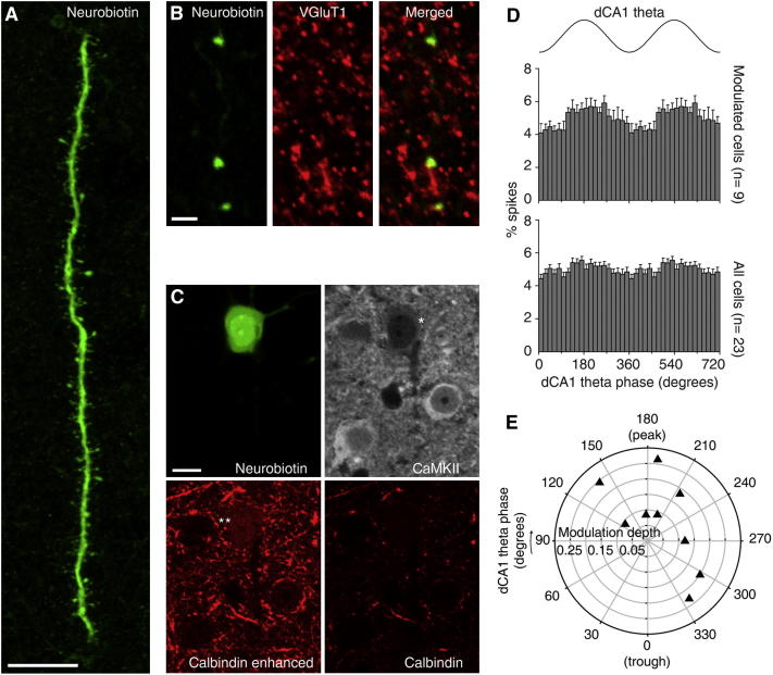 Figure 6