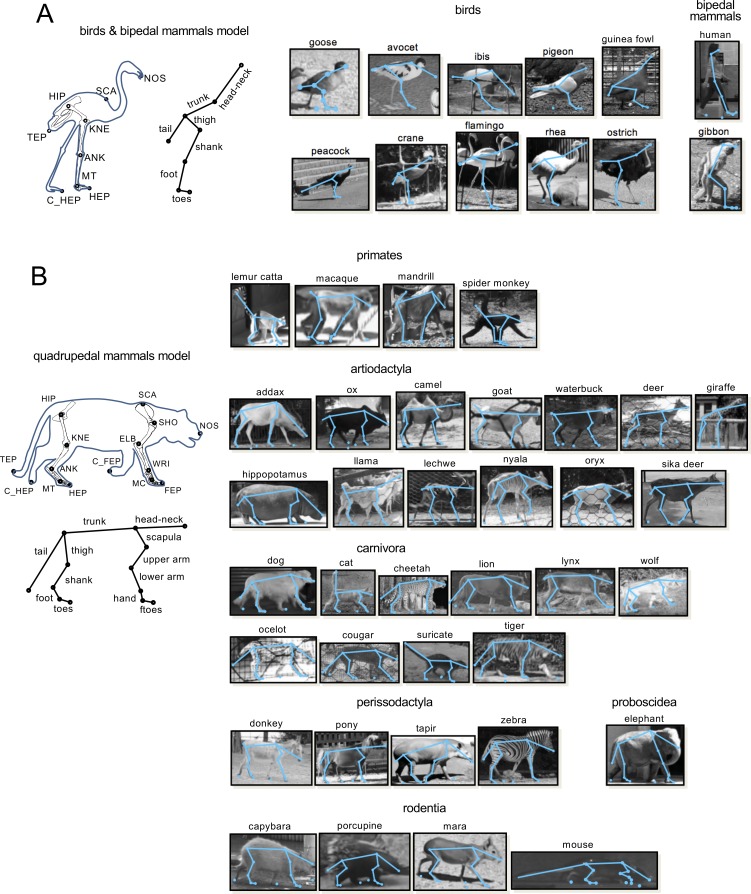 Figure 2—figure supplement 1.