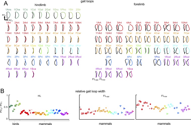 Figure 3—figure supplement 2.