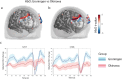 Brain imaging comparisons show HbO levels between Groningen and Okinawa groups. Panels (a) and (b) display brain maps with differing HbO t-values. Panel (c) features graphs illustrating HbO changes over time, with Groningen in blue and Okinawa in red, highlighting varied responses.