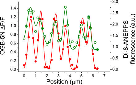 Figure 7.