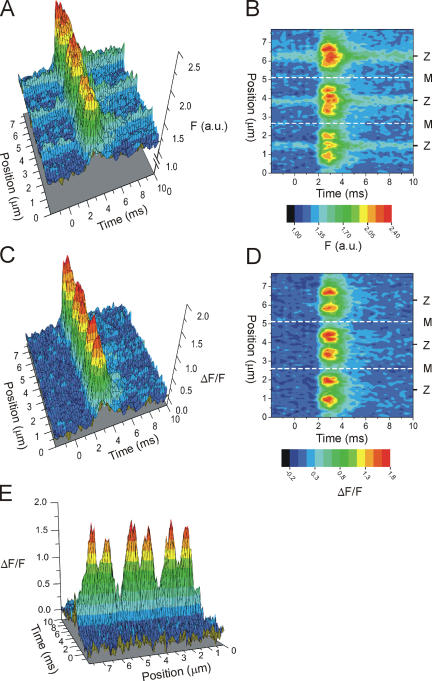 Figure 4.