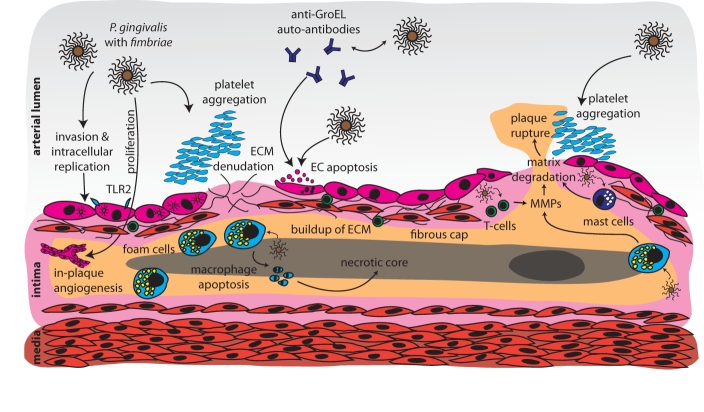 Figure 3.