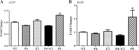 Fig. 8.