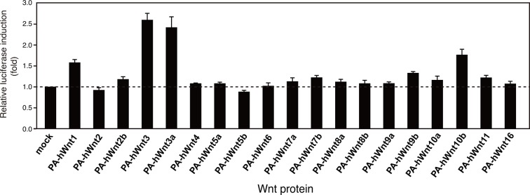 Figure 7—figure supplement 2.