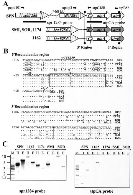 FIG. 3.