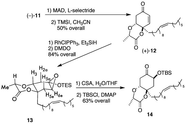 Scheme 4