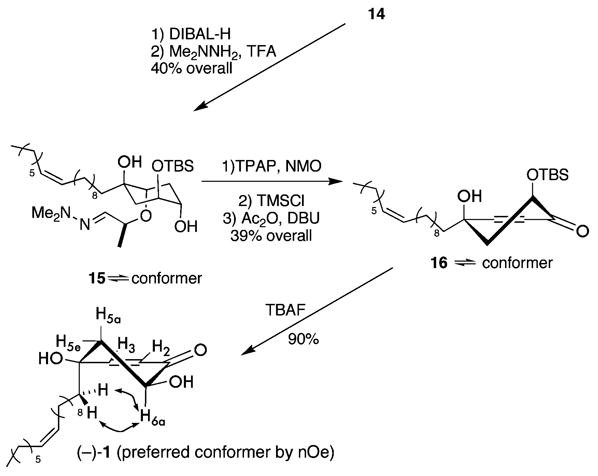 Scheme 5