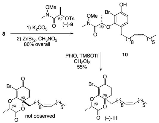 Scheme 3